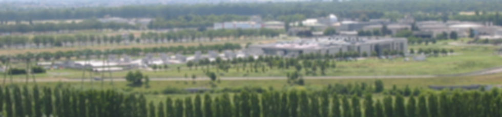 IMG_5961.jpeg