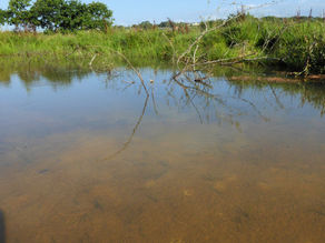 Pond Management with Nick Benge