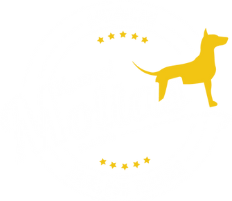 KennelMoltas_neg_yellow_web.png