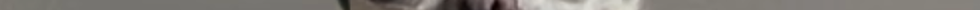 IMG_1766.PNG