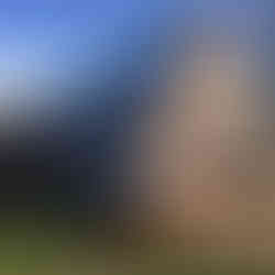 The Wooden Gothic Church of St. Nicholas in Brzeziny, Podkarpackie Voivodeship, Poland, was construc