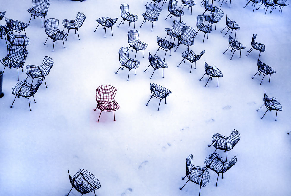 Systemisches Coaching Kranich in Frankfurt