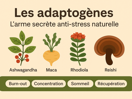 Adaptogènes : L'Arme Secrète Anti-Stress Naturelle Que Tout le Monde Ignore
