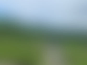 酷暑のあとに、こころの疲れ