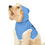 Thumbnail: Stay Pawsitive Blue Pet Hoodie - Cute & Comfy Positive Pet Apparel