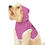 Thumbnail: Stay Pawsitive Pink Pet Hoodie - Cute & Comfy Positive Pet Apparel