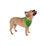 Thumbnail: Cute "Can't Hold My Licker" Green Pet Bandana – Perfect for Dog Lovers Fun Vibes