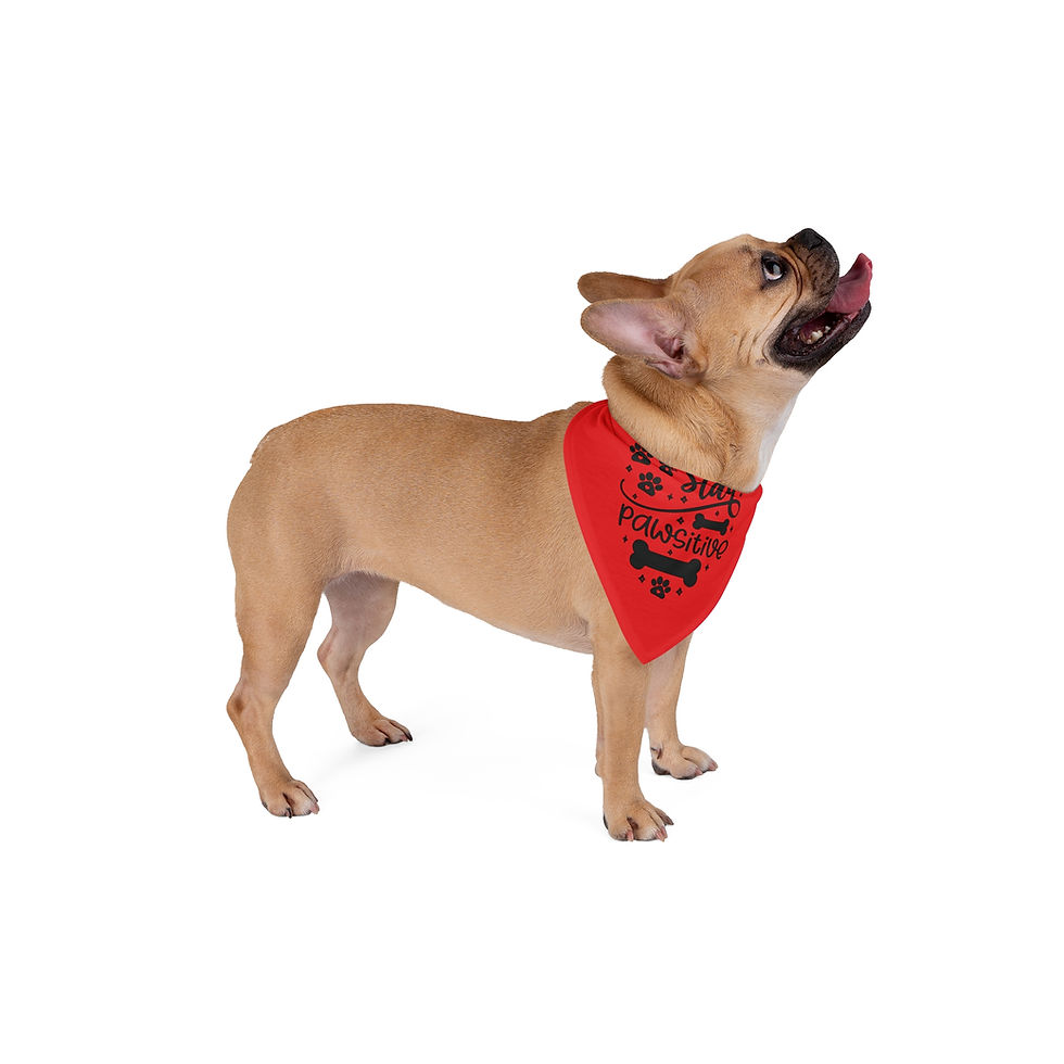 Thumbnail: Stay Pawsitive Red Pet Bandana - Stylish Dog Accessory for Happy Pets
