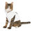 Thumbnail: Stay Pawsitive White Pet Hoodie - Cute & Comfy Positive Pet Apparel