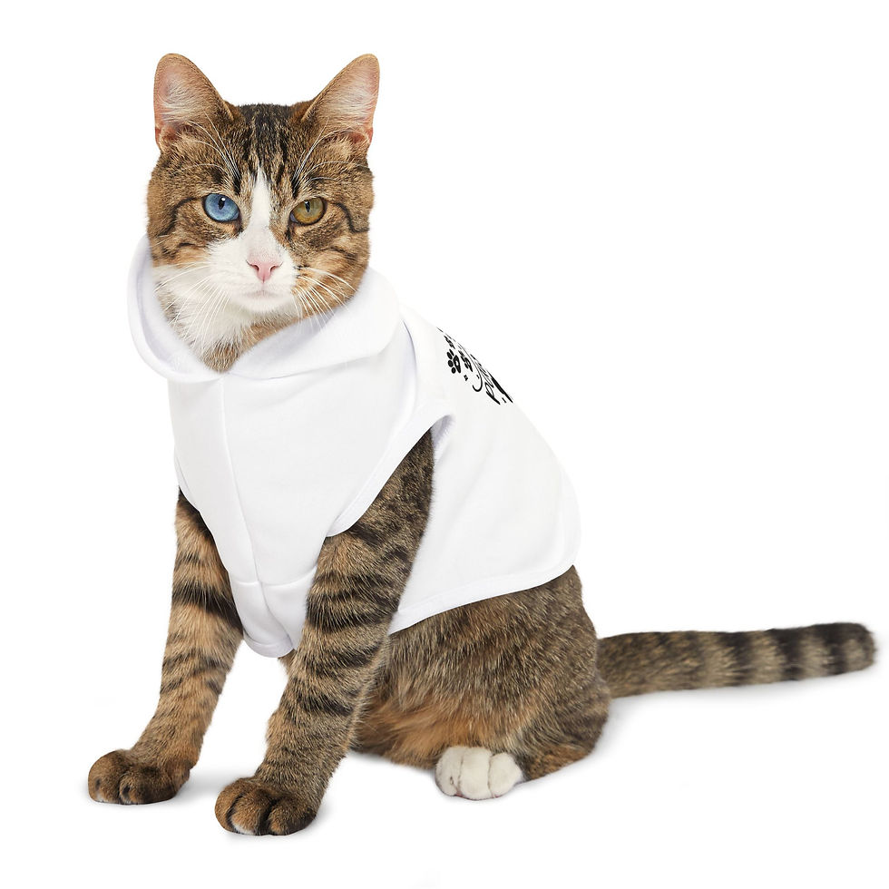 Thumbnail: Stay Pawsitive White Pet Hoodie - Cute & Comfy Positive Pet Apparel