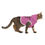 Thumbnail: Stay Pawsitive Pink Pet Hoodie - Cute & Comfy Positive Pet Apparel
