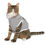 Thumbnail: Stay Pawsitive Grey Pet Hoodie - Cute & Comfy Positive Pet Apparel