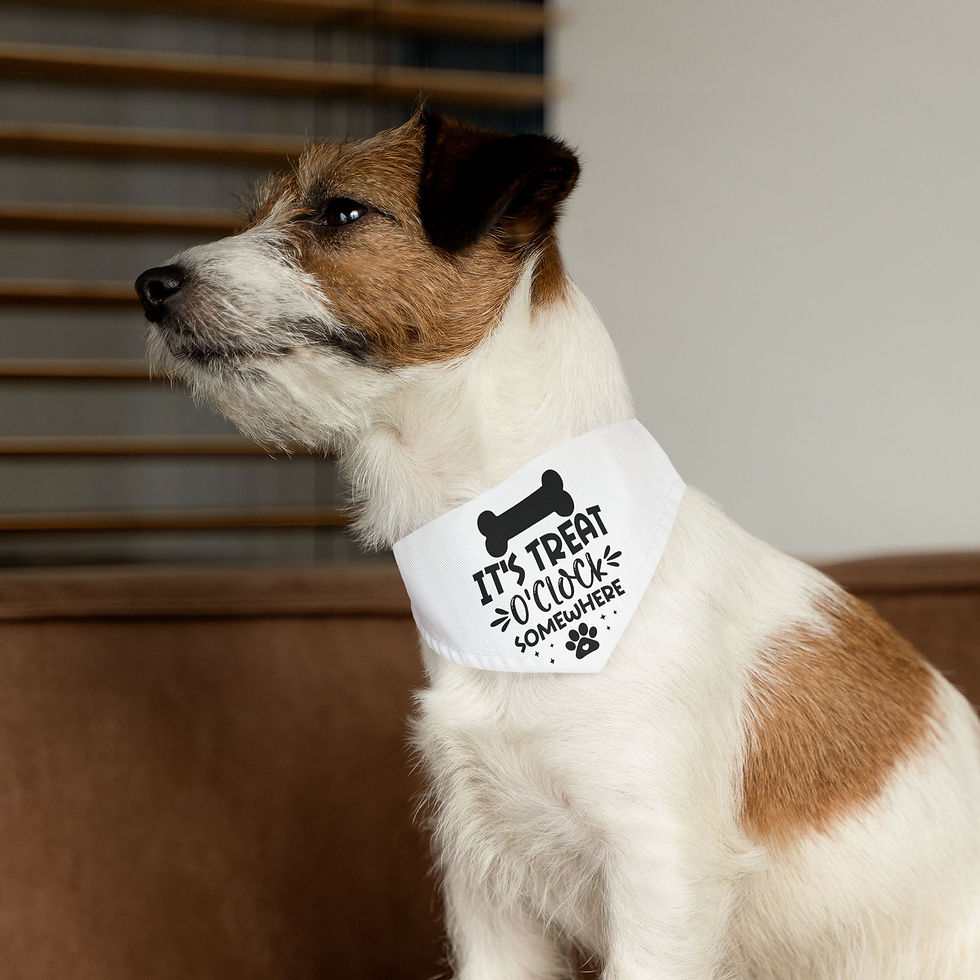 Thumbnail: Fun White Pet Bandana - "It's Treat O'Clock Somewhere"