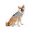 Thumbnail: Funny Grey Pet Bandana "Places to Go, People to Lick" - Perfect for Dog Lovers