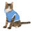 Thumbnail: Stay Pawsitive Blue Pet Hoodie - Cute & Comfy Positive Pet Apparel