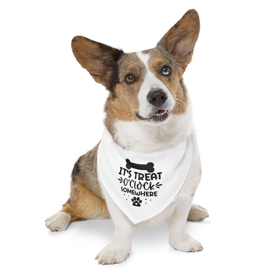 Thumbnail: Fun White Pet Bandana - "It's Treat O'Clock Somewhere"