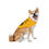 Thumbnail: Funny Gold Pet Bandana "Places to Go, People to Lick" - Perfect for Dog Lovers