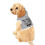Thumbnail: Stay Pawsitive Grey Pet Hoodie - Cute & Comfy Positive Pet Apparel
