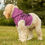 Thumbnail: Stay Pawsitive Pink Pet Hoodie - Cute & Comfy Positive Pet Apparel
