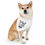 Thumbnail: Stay Positive White Pet Bandana Collar - Dog Good Vibes for Happy Pets