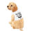 Thumbnail: Stay Pawsitive White Pet Hoodie - Cute & Comfy Positive Pet Apparel