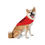 Thumbnail: Stay Pawsitive Red Pet Bandana - Stylish Dog Accessory for Happy Pets