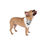 Thumbnail: Stay Pawsitive White Pet Bandana - Stylish Dog Accessory for Happy Pets
