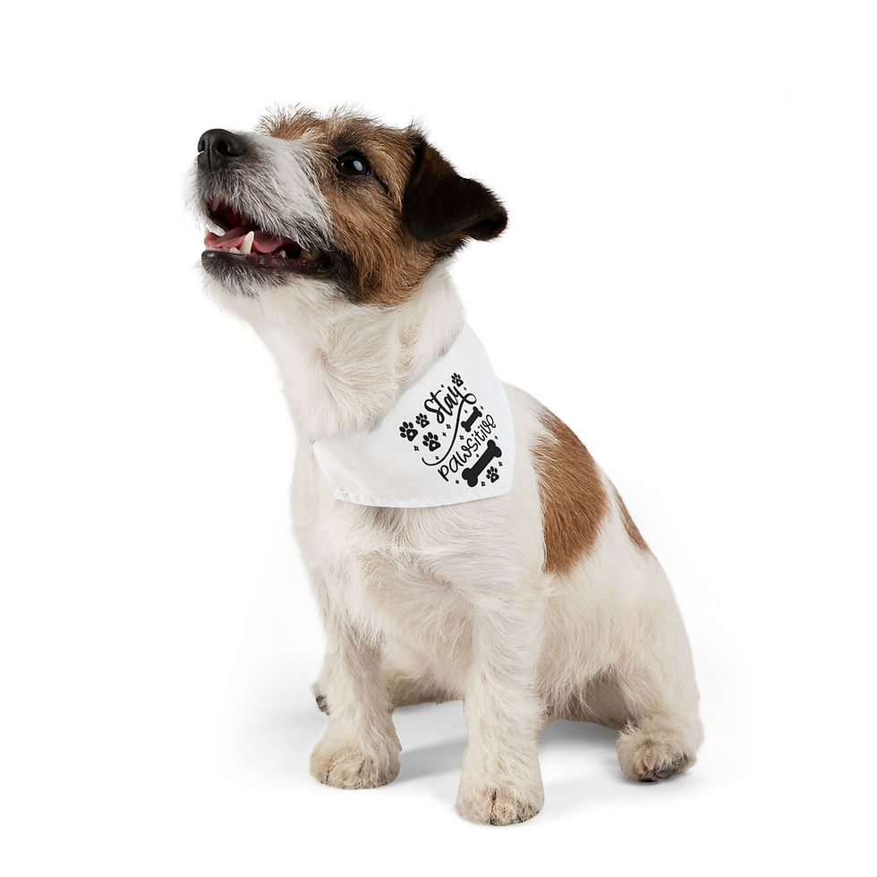 Thumbnail: Stay Positive White Pet Bandana Collar - Dog Good Vibes for Happy Pets