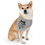 Thumbnail: Funny Grey Pet Bandana - "It's Treat O'Clock Somewhere"