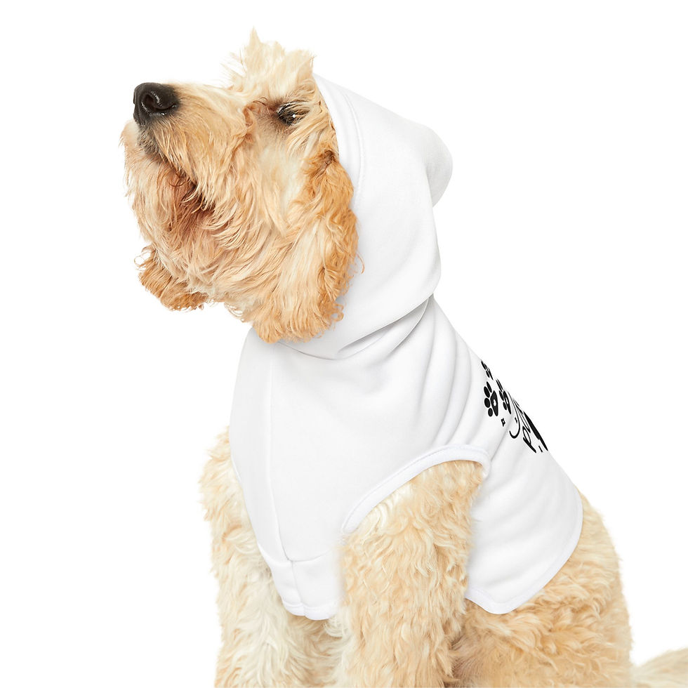 Thumbnail: Stay Pawsitive White Pet Hoodie - Cute & Comfy Positive Pet Apparel