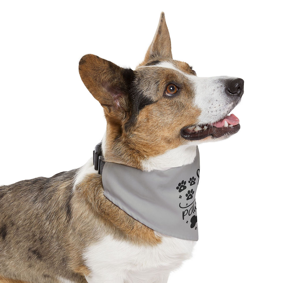 Thumbnail: Stay Positive Grey Pet Bandana Collar - Dog Good Vibes for Happy Pets