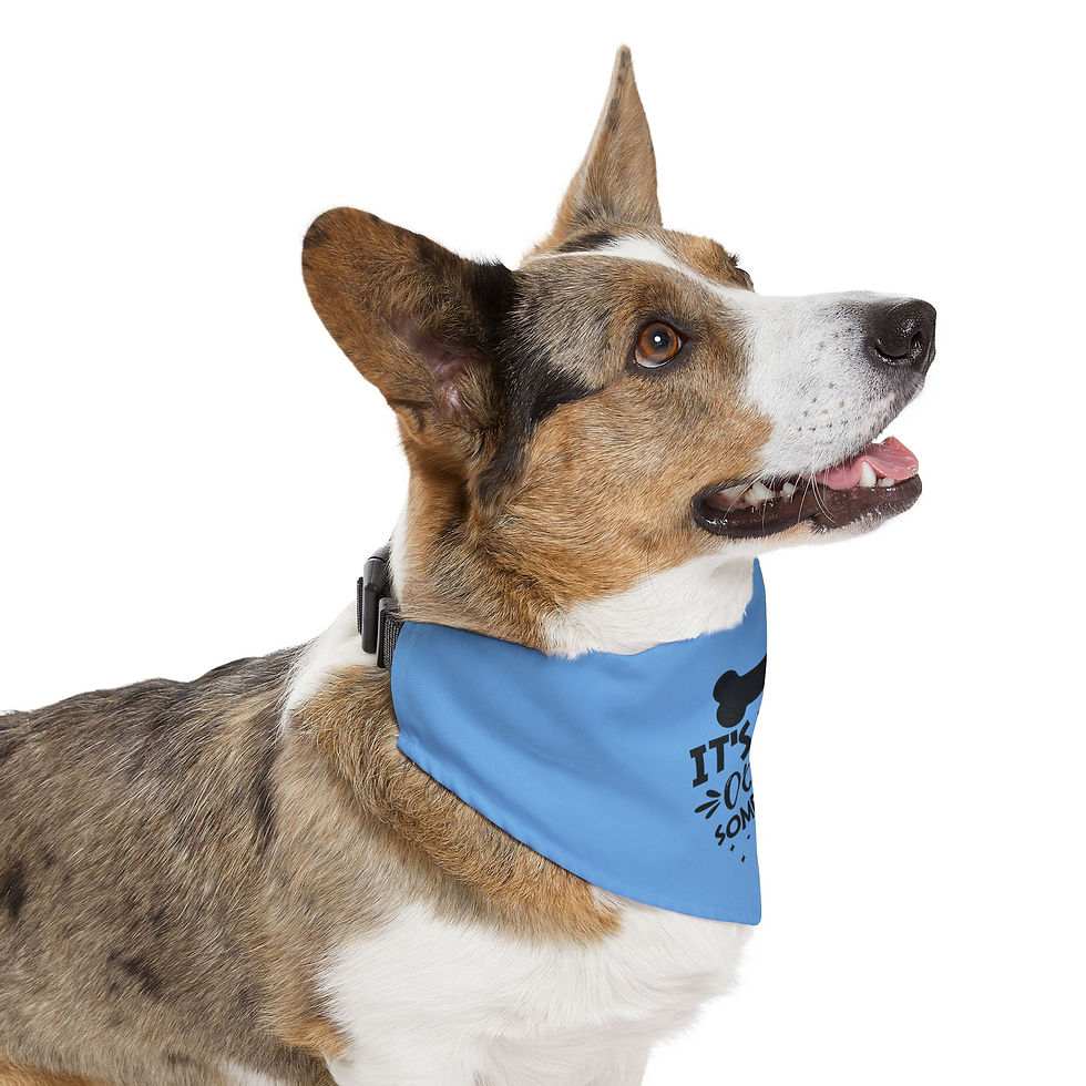 Thumbnail: Funny Blue Pet Bandana - "It's Treat O'Clock Somewhere"