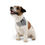 Thumbnail: Funny Grey Pet Bandana - "It's Treat O'Clock Somewhere"