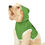 Thumbnail: Stay Pawsitive Green Pet Hoodie - Cute & Comfy Positive Pet Apparel