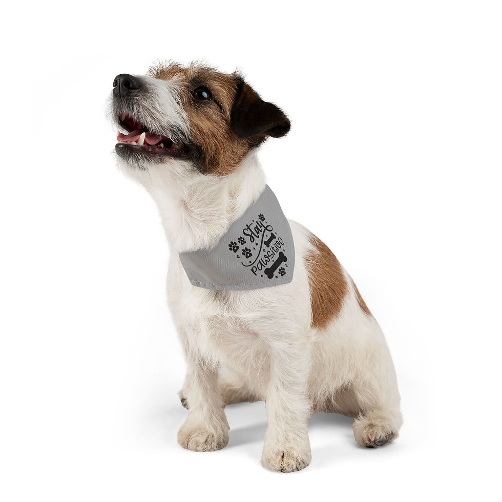 Thumbnail: Stay Positive Grey Pet Bandana Collar - Dog Good Vibes for Happy Pets