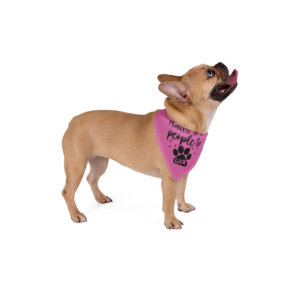 Thumbnail: Funny Pink Pet Bandana "Places to Go, People to Lick" - Perfect for Dog Lovers