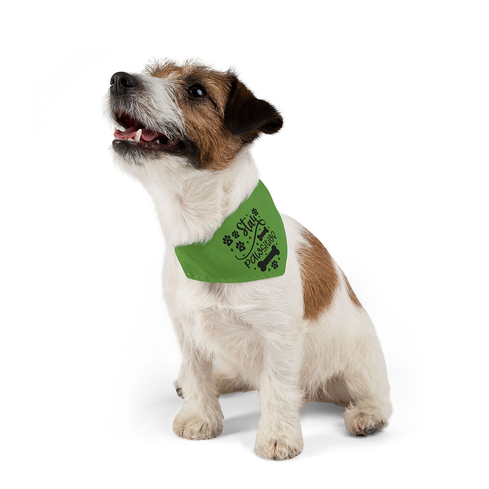Thumbnail: Stay Positive Green Pet Bandana Collar - Dog Good Vibes for Happy Pets