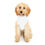Thumbnail: Stay Pawsitive White Pet Hoodie - Cute & Comfy Positive Pet Apparel