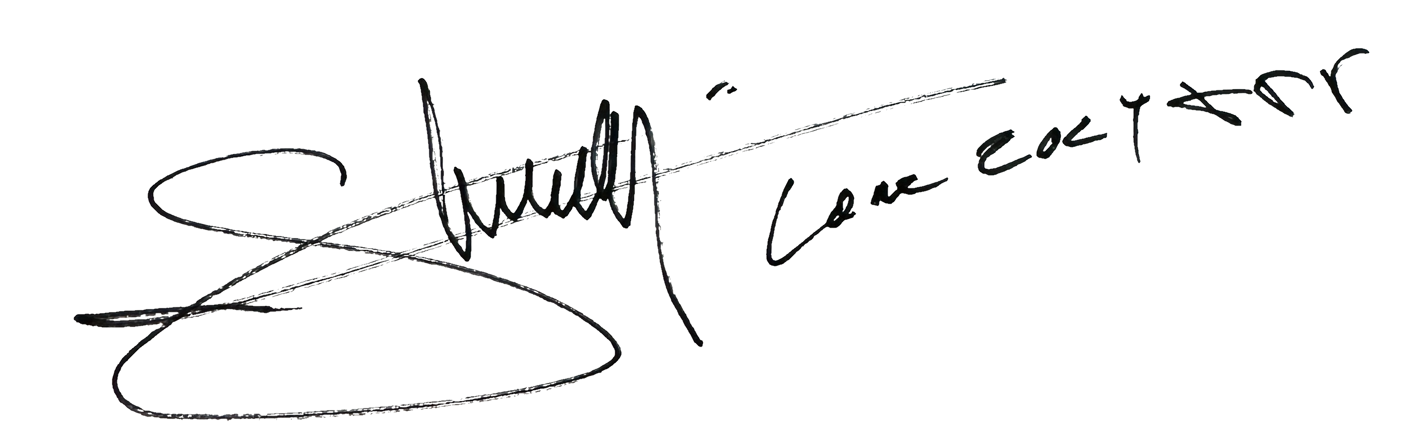 Shädy signature