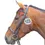 Thumbnail: Equidisc Dressage Bridle Numbers