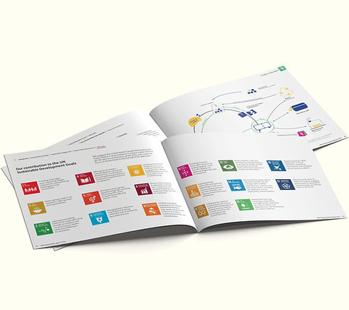 Report Mockups2.jpg