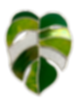 Stained Glass Monstera Leaf