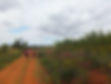 01075cee95176ac33e1a831432086dc9ed1217d651.jpg