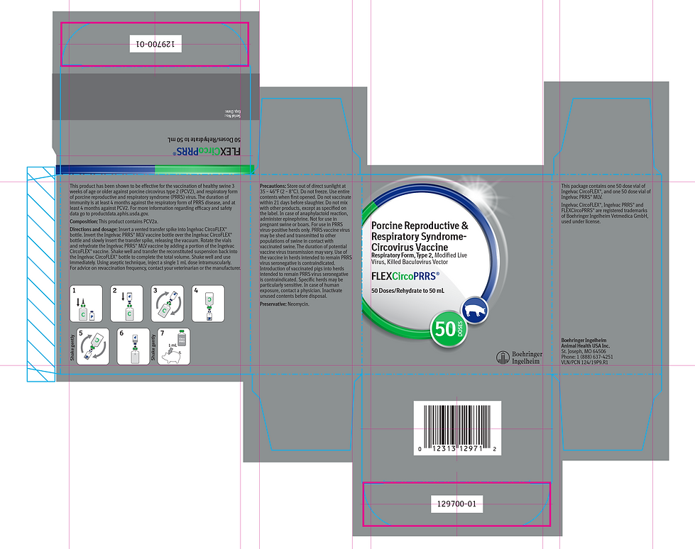 Sample image of a flat carton design, featuring dieline and guidelines.