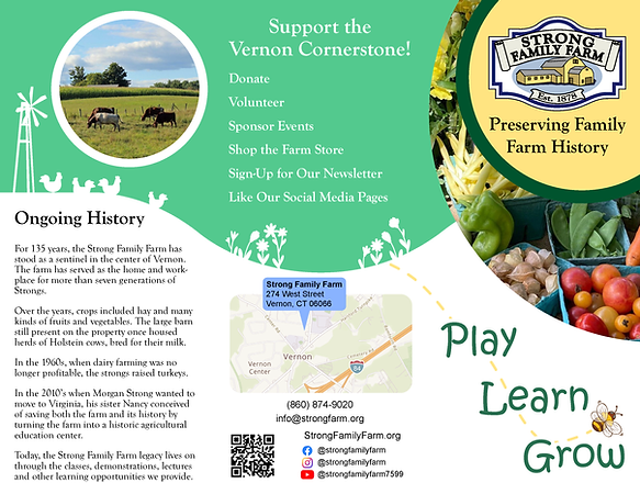 Rough draft of the outer brochure design.