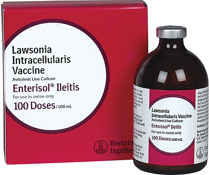 Outdated design of the Enterisol Ileitis box and bottle.