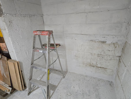 The Blessing and Curse of a Basement Voice Acting Studio