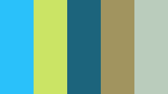 colores wix.jpeg