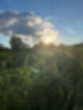 Sunday Sunrise Vinyasa Flow