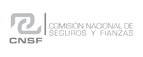 CNSF